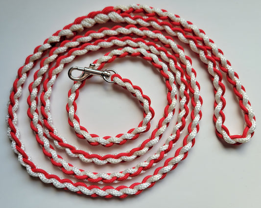 Paracord Braided Leash Lead 6 ft (Red & White) Puppy Cat Sm or Med Dog Training Walking