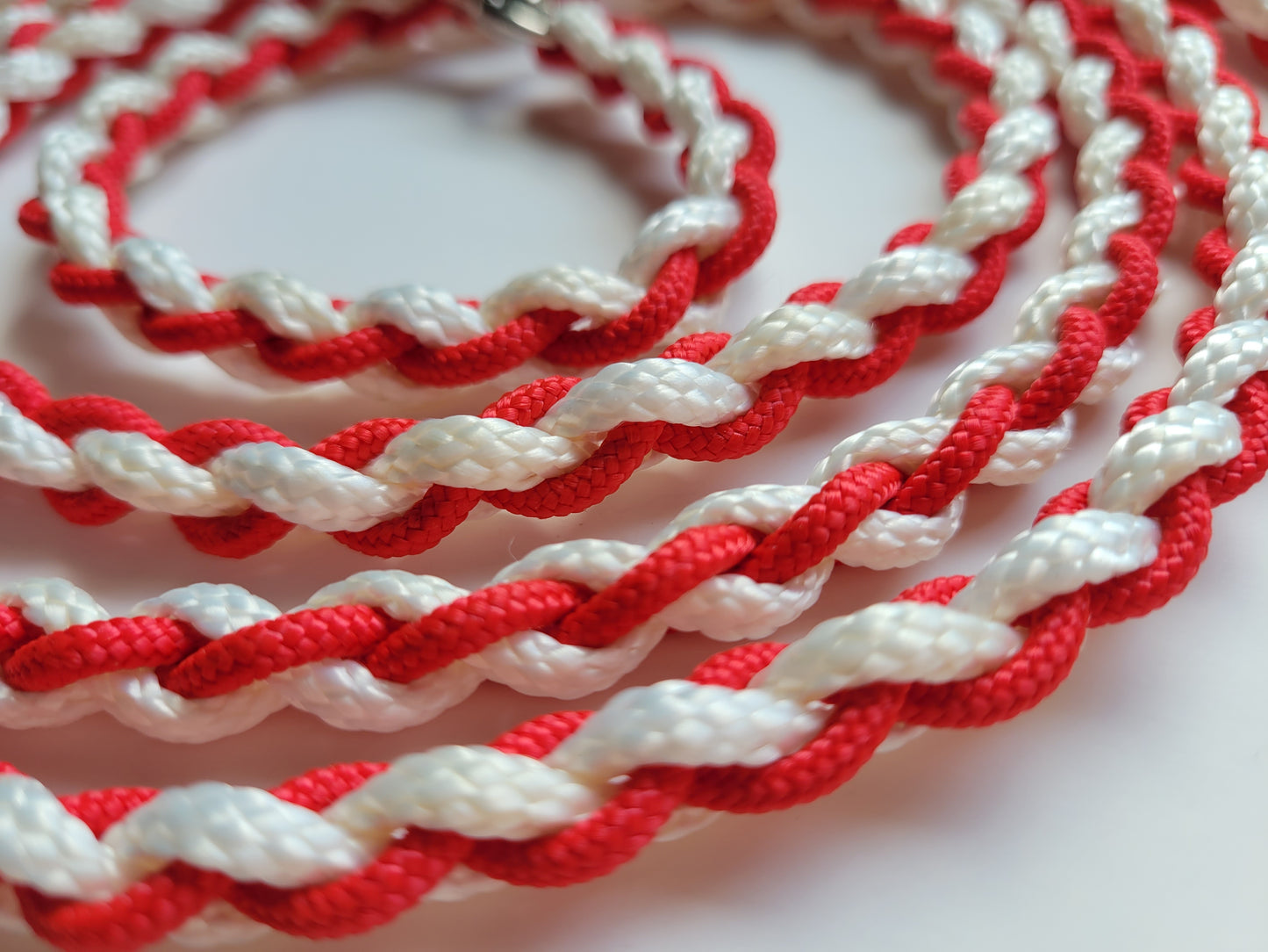 Paracord Braided Leash Lead 6 ft (Red & White) Puppy Cat Sm or Med Dog Training Walking