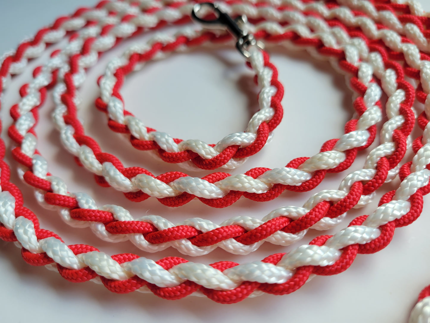 Paracord Braided Leash Lead 6 ft (Red & White) Puppy Cat Sm or Med Dog Training Walking
