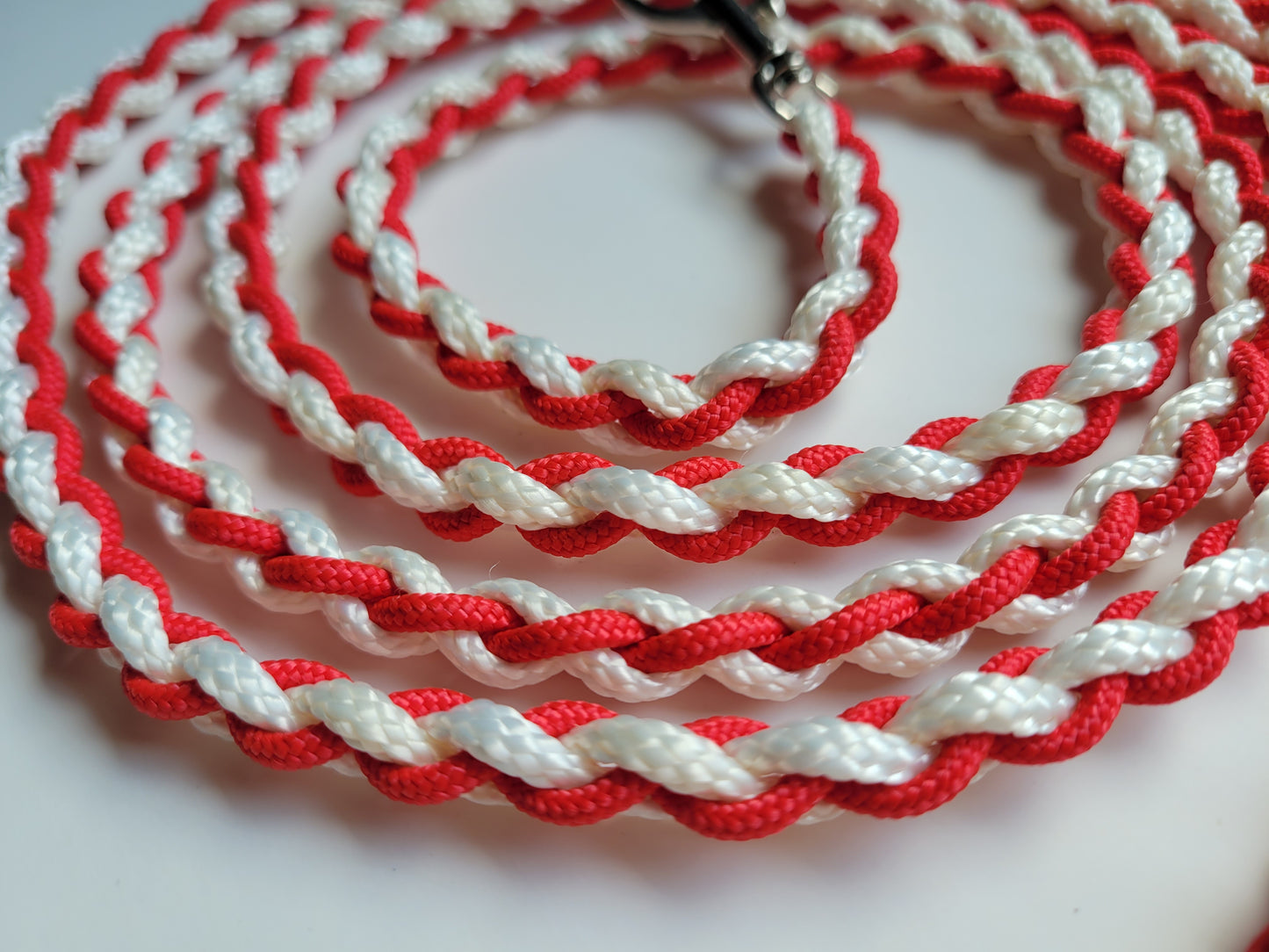 Paracord Braided Leash Lead 6 ft (Red & White) Puppy Cat Sm or Med Dog Training Walking