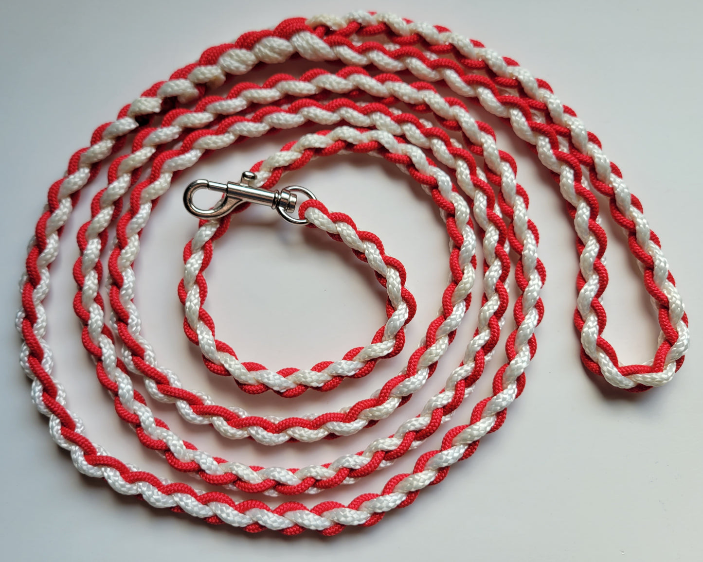 Paracord Braided Leash Lead 6 ft (Red & White) Puppy Cat Sm to Med Dog Training Walking