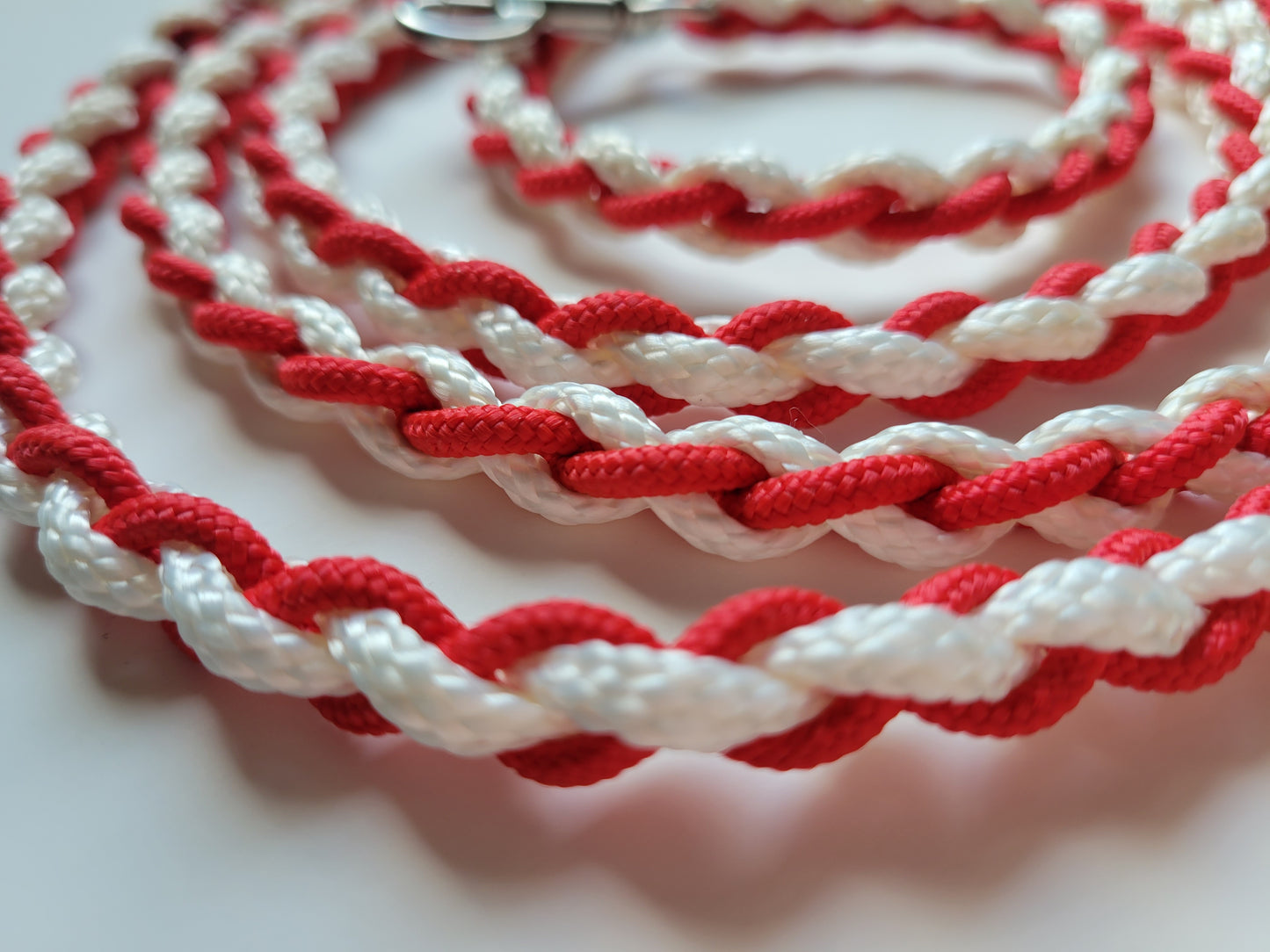 Paracord Braided Leash Lead 6 ft (Red & White) Puppy Cat Sm to Med Dog Training Walking