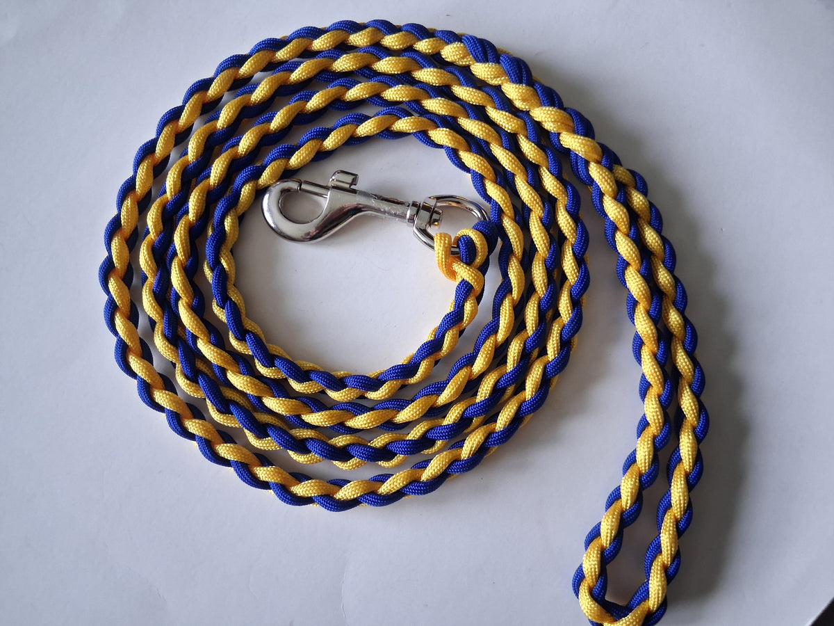 Paracord Braided Large Dog Leash Lead (Blue/Gold)