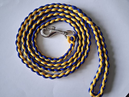Paracord Braided Large Dog Leash Lead (Blue/Gold)