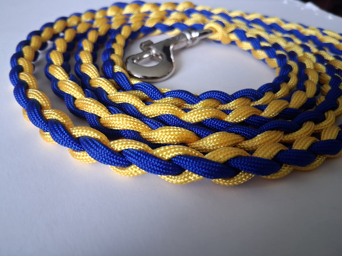 Paracord Braided Large Dog Leash Lead (Blue/Gold)