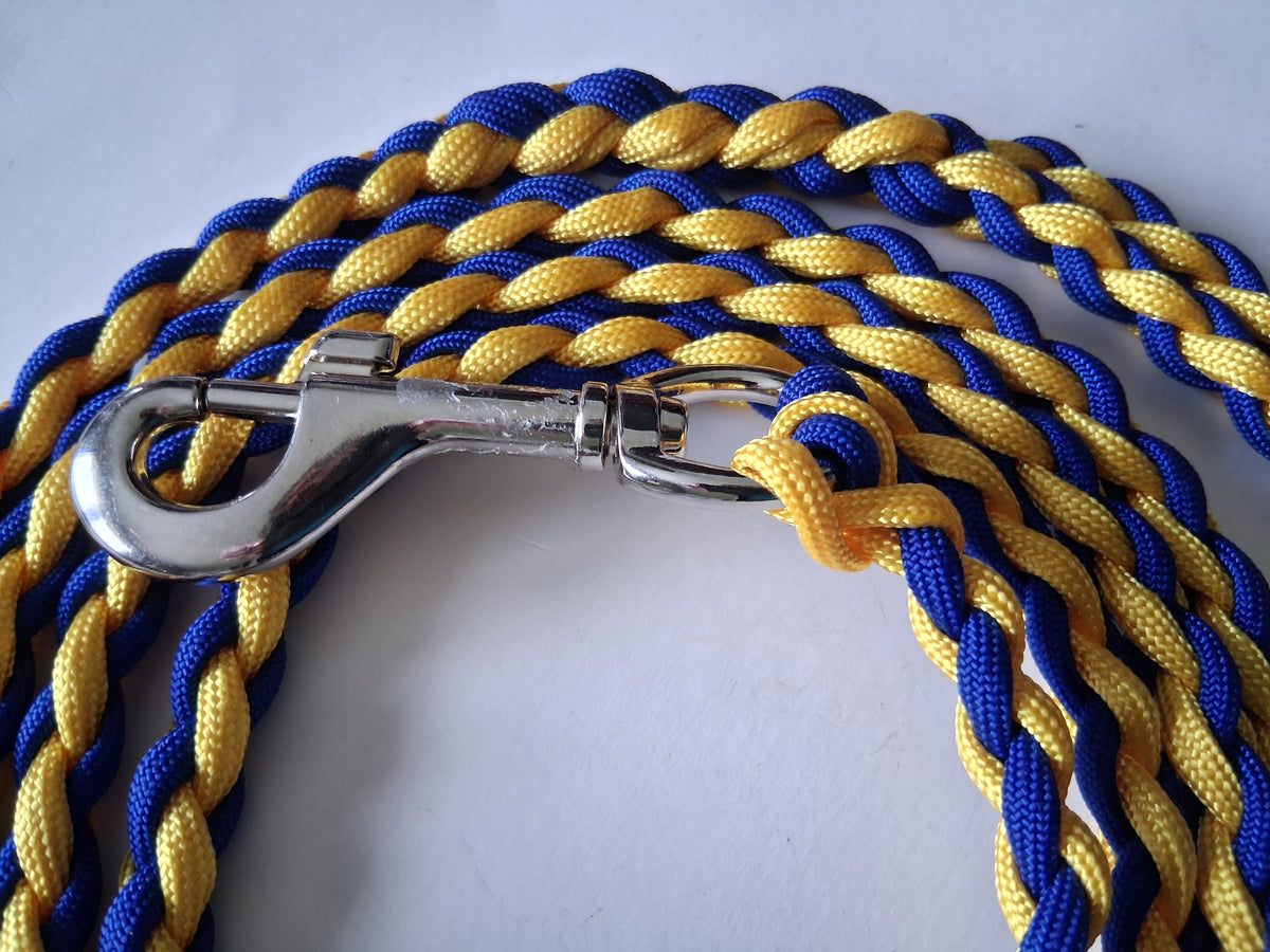 Paracord Braided Large Dog Leash Lead (Blue/Gold)